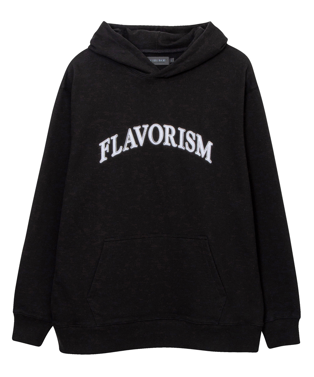 FLAVORISM플레이버리즘 [테크플레이버] Techflavor Flavorism oversized heavy weight applique Arch logo hoodie (TT0037)